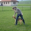 2009_dogdancing_DSC03728