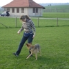 2009_dogdancing_DSC03729