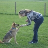 2009_dogdancing_DSC03731