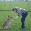 2009_dogdancing_DSC03732