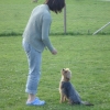 2009_dogdancing_DSC03737