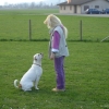 2009_dogdancing_DSC03739