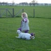 2009_dogdancing_DSC03740