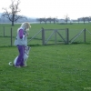 2009_dogdancing_DSC03741