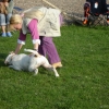 2009_dogdancing_DSC03745