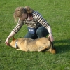 2009_dogdancing_DSC03748