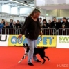2012_dogdancing_Franziska_und_Trixi