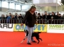 Dogdancing 2012