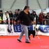 2012_dogdancing_Franziska_und_Trixi_4