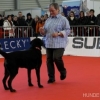 2012_dogdancing_IMG_5589