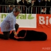 2012_dogdancing_IMG_5599