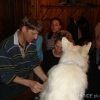 2008_erstehilfe_DSC02051