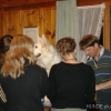 2008_erstehilfe_DSC02053