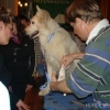 2008_erstehilfe_DSC02054