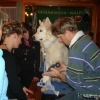 2008_erstehilfe_DSC02055