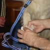 2008_erstehilfe_DSC02057