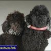 2008_fotoshooting_DSCF3590_prot
