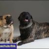 2008_fotoshooting_DSCF3670_prot