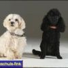 2008_fotoshooting_DSCF4006_prot