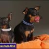 2008_fotoshooting_DSCF4050_prot