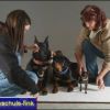 2008_fotoshooting_DSCF4125_prot