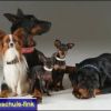 2008_fotoshooting_DSCF4134_prot
