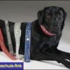 2008_fotoshooting_DSCF4200_prot