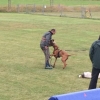2014_hundeferien_bayern_IMG_6348