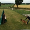 2014_hundeferien_bayern_IMG_6350