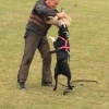 2014_hundeferien_bayern_IMG_6366