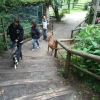 2014_hundeferien_bayern_IMG_6369
