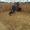 2014_hundeferien_bayern_IMG_6389