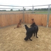 2014_hundeferien_bayern_IMG_6390