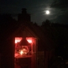 2014_hundeferien_bayern_IMG_6411
