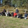 2011_hundeferien_schwarzwald_DSC07134