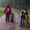 2013_hundeferien_schwarzwald_april_IMG_2588