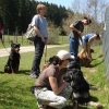 2012_schwarzwald_fruehling_DSC07272