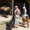 2012_schwarzwald_fruehling_DSC07282