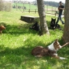 2012_schwarzwald_fruehling_DSC07290_Pause