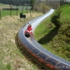 2012_schwarzwald_fruehling_DSC07296_unsere_jung_Gebliebene____