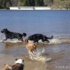 2012_schwarzwald_fruehling_DSC07307