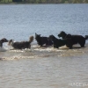 2012_schwarzwald_fruehling_DSC07312