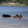 2012_schwarzwald_fruehling_DSC07318