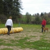 2012_schwarzwald_fruehling_DSC07329