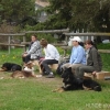 2012_schwarzwald_fruehling_DSC07332