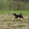 2012_schwarzwald_fruehling_DSC07332_MADOX