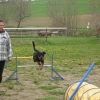 2012_schwarzwald_fruehling_DSC07346_EIN-STEH-OHR
