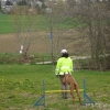 2012_schwarzwald_fruehling_DSC07356