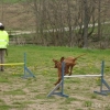 2012_schwarzwald_fruehling_DSC07357