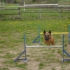 2012_schwarzwald_fruehling_DSC07361_LOBBO